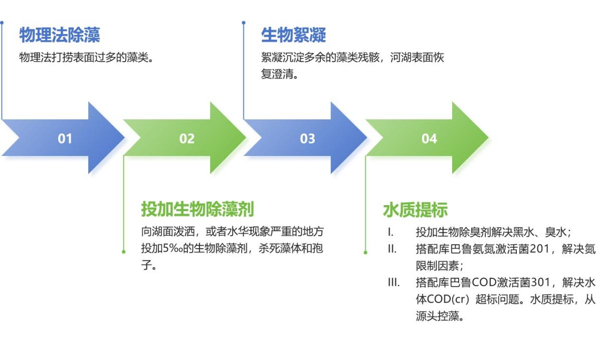 庫(kù)巴魯水華治理思路.png