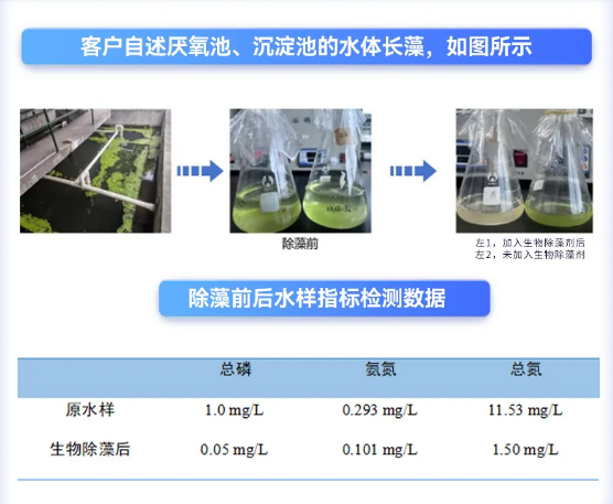 庫(kù)巴魯除藻案例分享.png